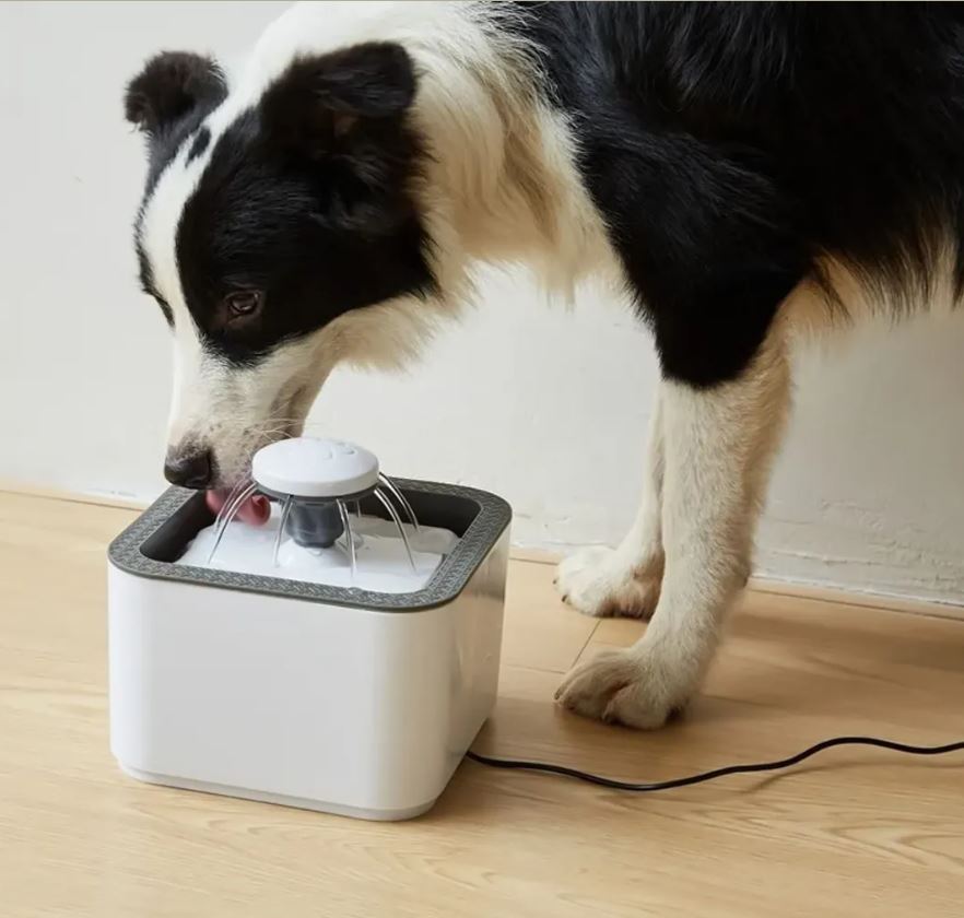 Fuente De Agua Para Gatos Y Perros 2.5Lt