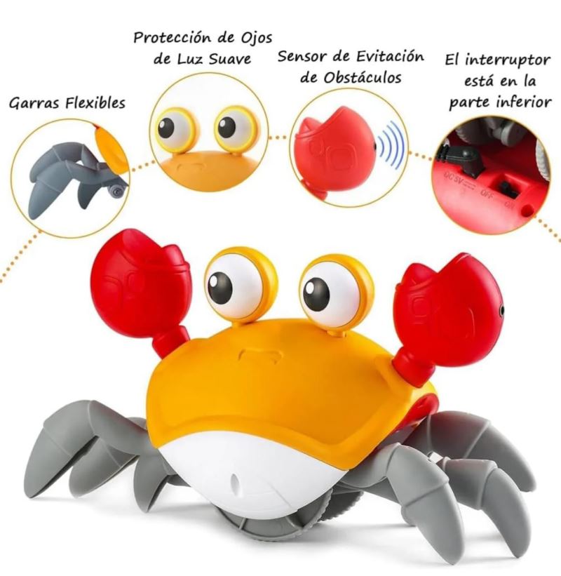 CANGREJO CAMINADOR MONTESSORI USB