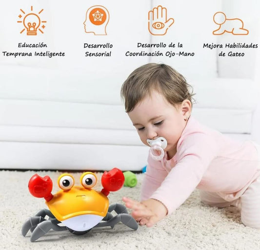 CANGREJO CAMINADOR MONTESSORI USB